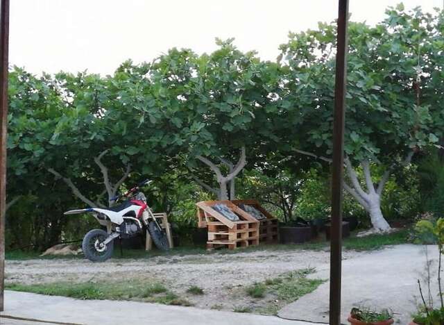 Гостевой дом У Наиры Новый Афон-25